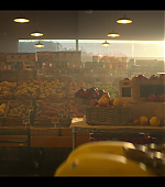 VPBR0037.png