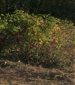 Filename=VPBR0496.jpg
Filesize=1161KiB
Dimensions=1920x960
Date added=Dec 24, 2022 VPBR0496.jpg